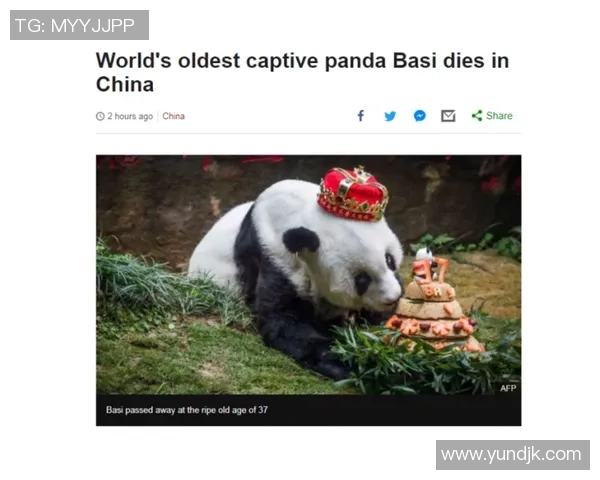 足球巨星为大熊猫发声呼吁保护活动引发全球关注 足球巨星为大熊猫发声呼吁保护活动引发全球关注